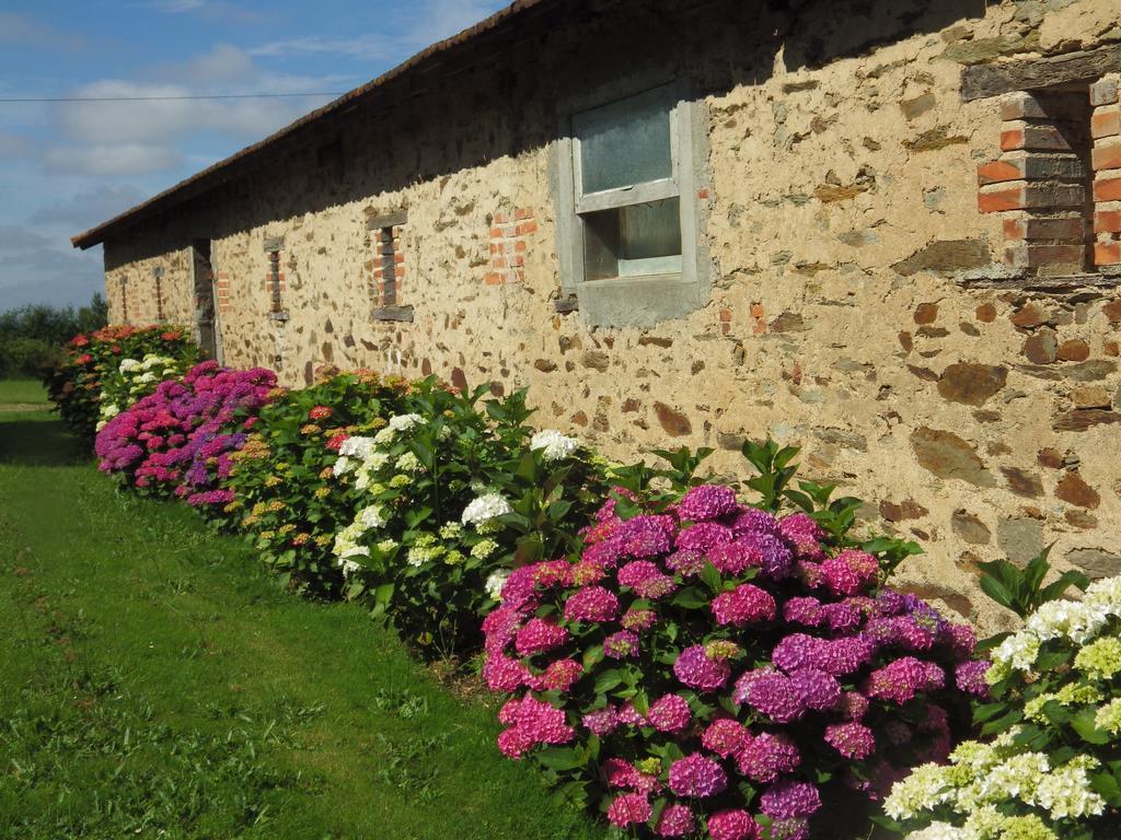 A La Haute Bouillere Bed & Breakfast Chavagnes-les-Redoux Luaran gambar